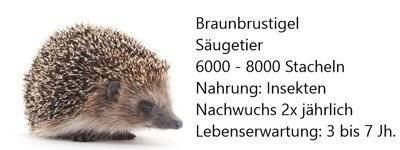 Tierbeschreibung