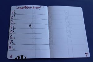 Bullet Journal Schritt für Schritt