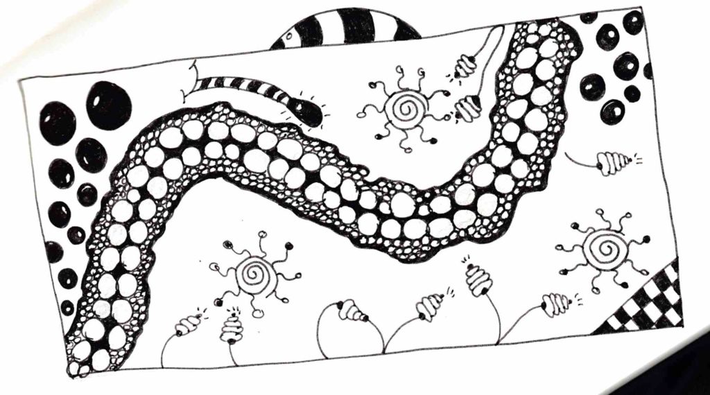 Zentangle Galerie