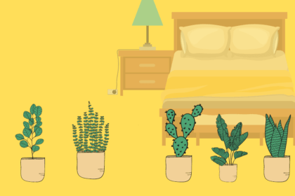 Pflanzen im Schlafzimmer