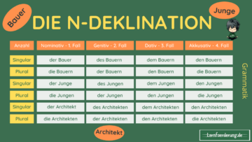 Männliche Lebewesen, die im Nominativ Singular auf „-e“ enden. Beispiele: der Affe, der Junge, der Kollege Nationalitäten auf die Endung „-e“ Beispiele: der Ire, der Deutsche, der Türke Ein Teil der männlichen Substantive, die Lebewesen bezeichnen Beispiele: der Bär, der Nachbar, der Bauer Fremdwörter, meist Berufsbezeichnungen oder Ämter auf folgende Endungen: „-ant“, „-and“„-ent“, „-ist“, „-at“, „-oge“, „-graf“ Beispiele: der Student, der Protagonist, der Fotograf