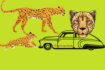 Partnerlink