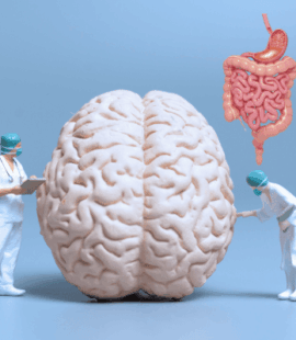 „ADHS Darmmikrobiom Therapie“