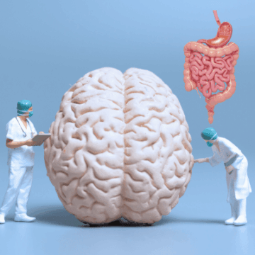 „ADHS Darmmikrobiom Therapie“