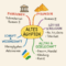 Mindmaps
