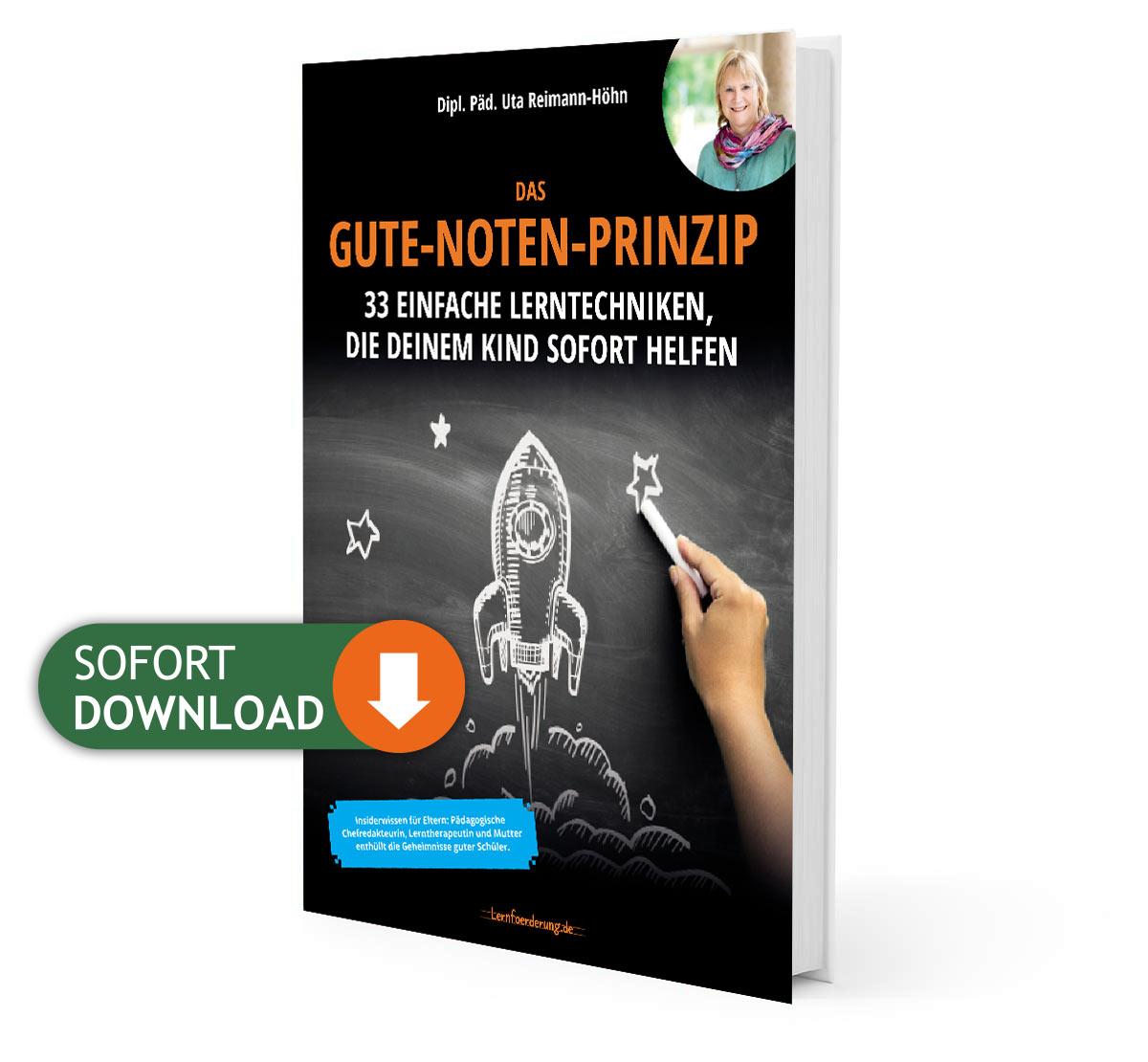 Das Gute-Noten-Prinzip von Uta Reimann-Höhn – 33 einfache Lerntechniken
